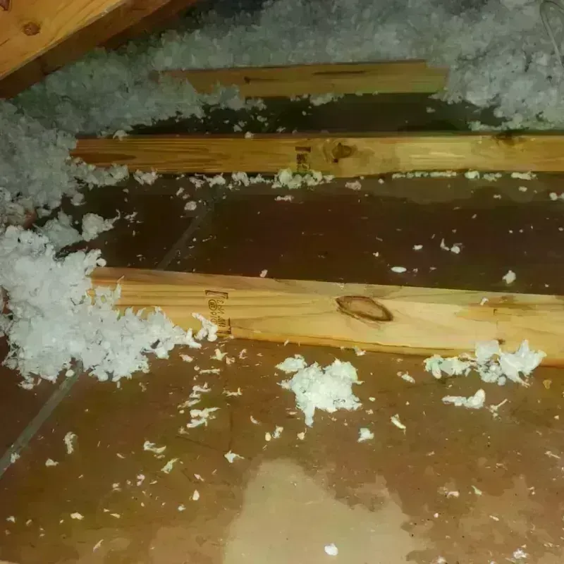 Attic Water Damage in Chandler, OK