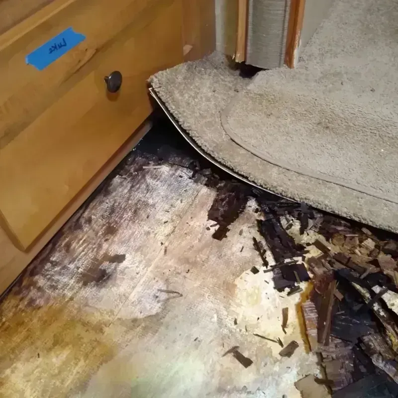 Wood Floor Water Damage in Chandler, OK